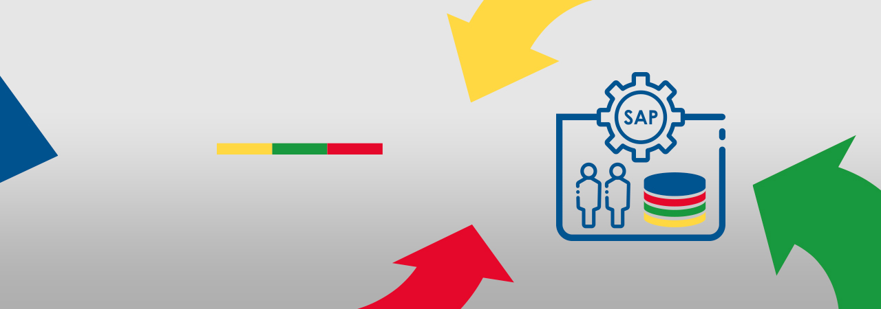 Sap basis managed - wynsys