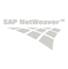 netweaver